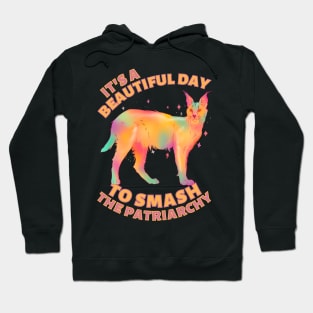 Beautiful Day to Smash the Patriarchy Caracal Hoodie